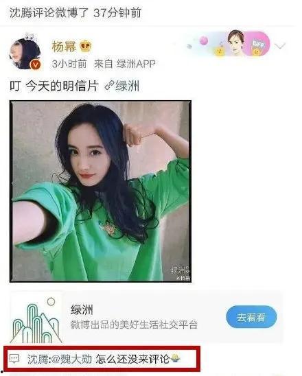 吃瓜的娱乐小能手,吃瓜达人揭秘娱乐圈幕后故事