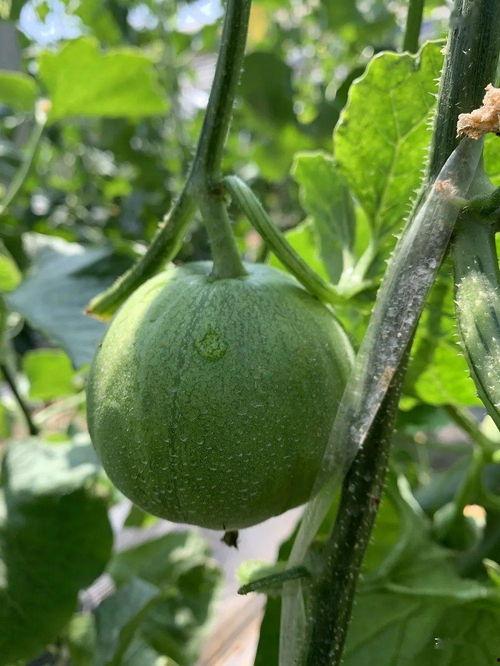 二连三的娱乐吃瓜,揭秘明星幕后故事